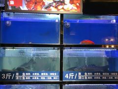水产区-爱妻鱼•老体北重庆水煮鱼•川菜(白云路店)