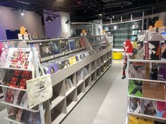 -浣熊唱片店(上海影城店)