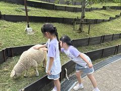 -神户市立六甲山牧场