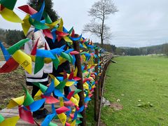 -武陵山森林公园