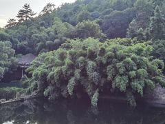-九龙潭景区