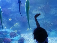-左海海底世界