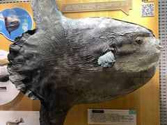-青岛海底世界-水族馆