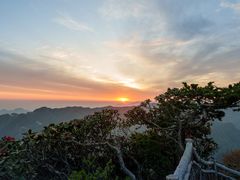 -光雾山旅游景区
