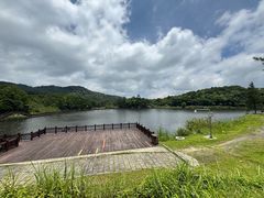 -海南热带雨林国家公园吊罗山景区