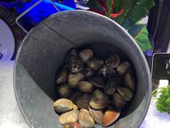 鲜贝-加餐海鲜自助(宝龙一城店)