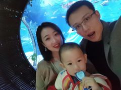 -沈阳海洋探索中心