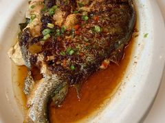 红葱酱蒸大黄鱼-萍香大厨·锅包肉(大东门店)