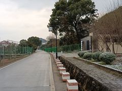 -树山生态村