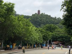-南沙天后宫景区