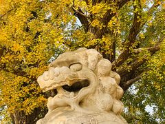 -北京石刻艺术博物馆(五塔寺)