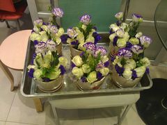 -FEI FEI FLOWER鲜花店·气球派对·宝宝宴布置(虹口德必运动Loft店)