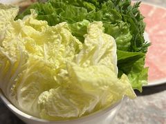 -禄婶鸡煲·打边炉