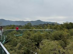-陶祖圣境风景区