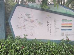-中国扬子鳄村