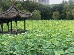 -高子水居