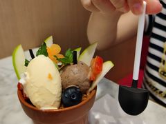 掌心花园外带冰淇淋杯-哈根达斯(朝阳大悦城店)
