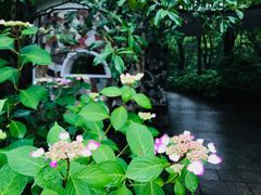 -上海共青森林公园