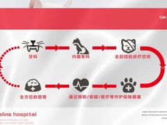 -御宝贝·A梦猫科宠物医院(国际猫友好医院)