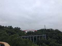 -金鸡山公园