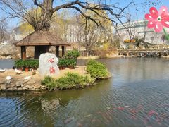 -武汉大学-樱园