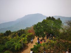 -灵岩山风景区