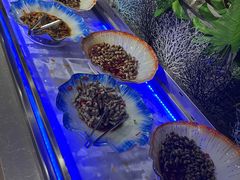 -钓鱼岛洗浴休闲会馆(卫星路店)