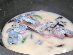 -滇色蒸汽石锅鱼(京华城店)