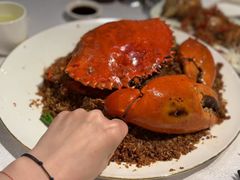 -喜记避风塘炒辣蟹(旗舰店)