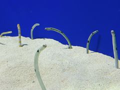 -上海海洋水族馆