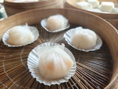 -四季春(美食街店)