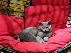 -么么咖啡(燕郊店)