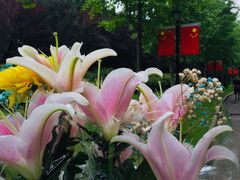 -上海市龙华烈士陵园