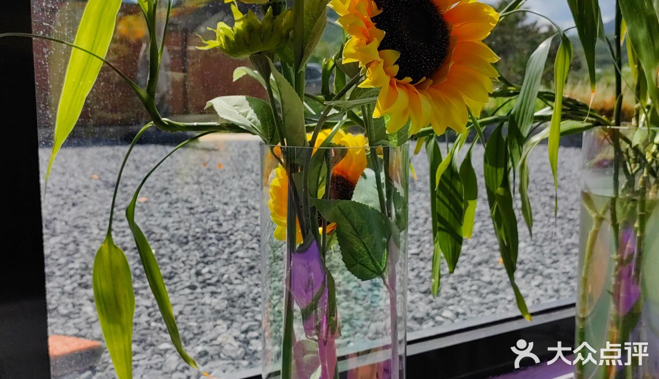 安四路|骑🏍️遇☕️记🐱