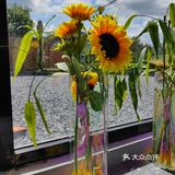 安四路|骑🏍️遇☕️记🐱