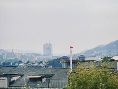 -南山植物园
