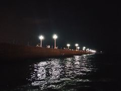 -老码头海鲜烧烤炒菜(广西路店)