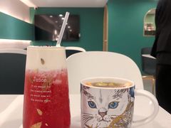 -飞行喵MR PILOT|猫舍·猫咖(静安大融城店)