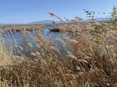 -野鸭湖国家湿地公园
