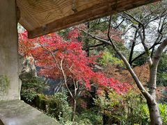 -南山植物园