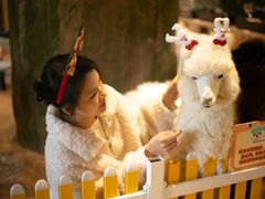 -杭州开元森泊度假乐园