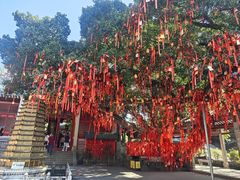 -国恩寺