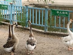 -北京鹿世界主题园