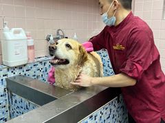 -FAELING PETS美天灵宠物(富力广场店)