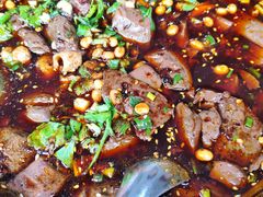 -大邑李记肥肠血旺