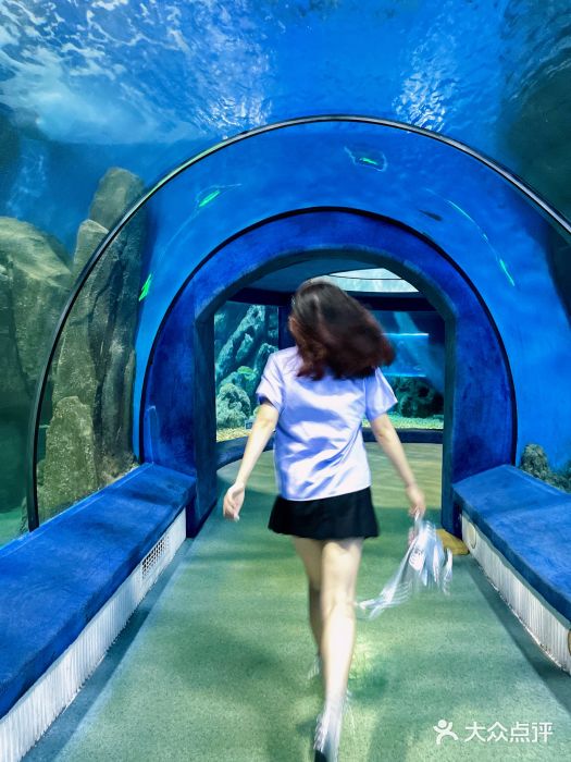 福州罗源湾海洋世界旅游区图片