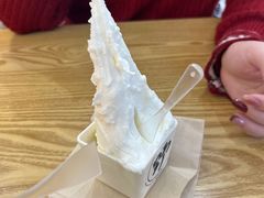 -野人先生Gelato(上海长宁龙之梦店)