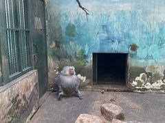 -无锡动物园·太湖欢乐园