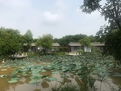 -林丰温泉度假山庄