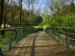 -西湖风景区-江洋畈生态公园